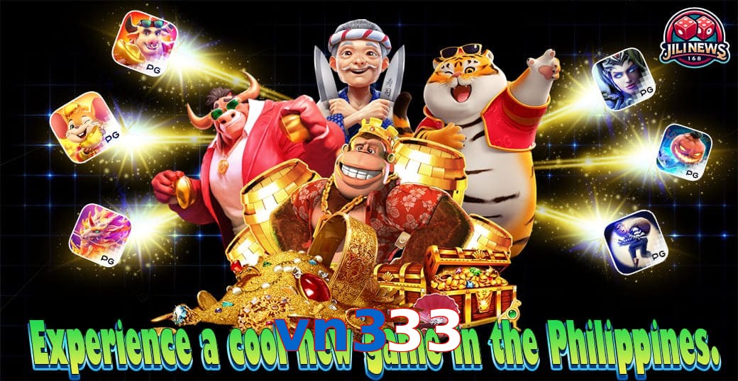 vn333