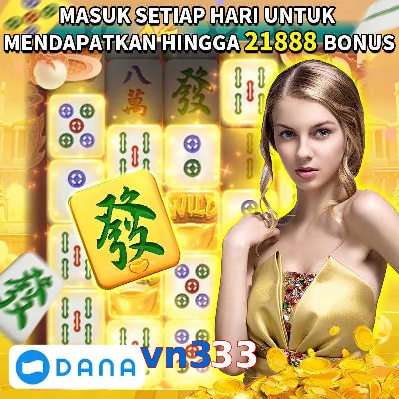 vn333