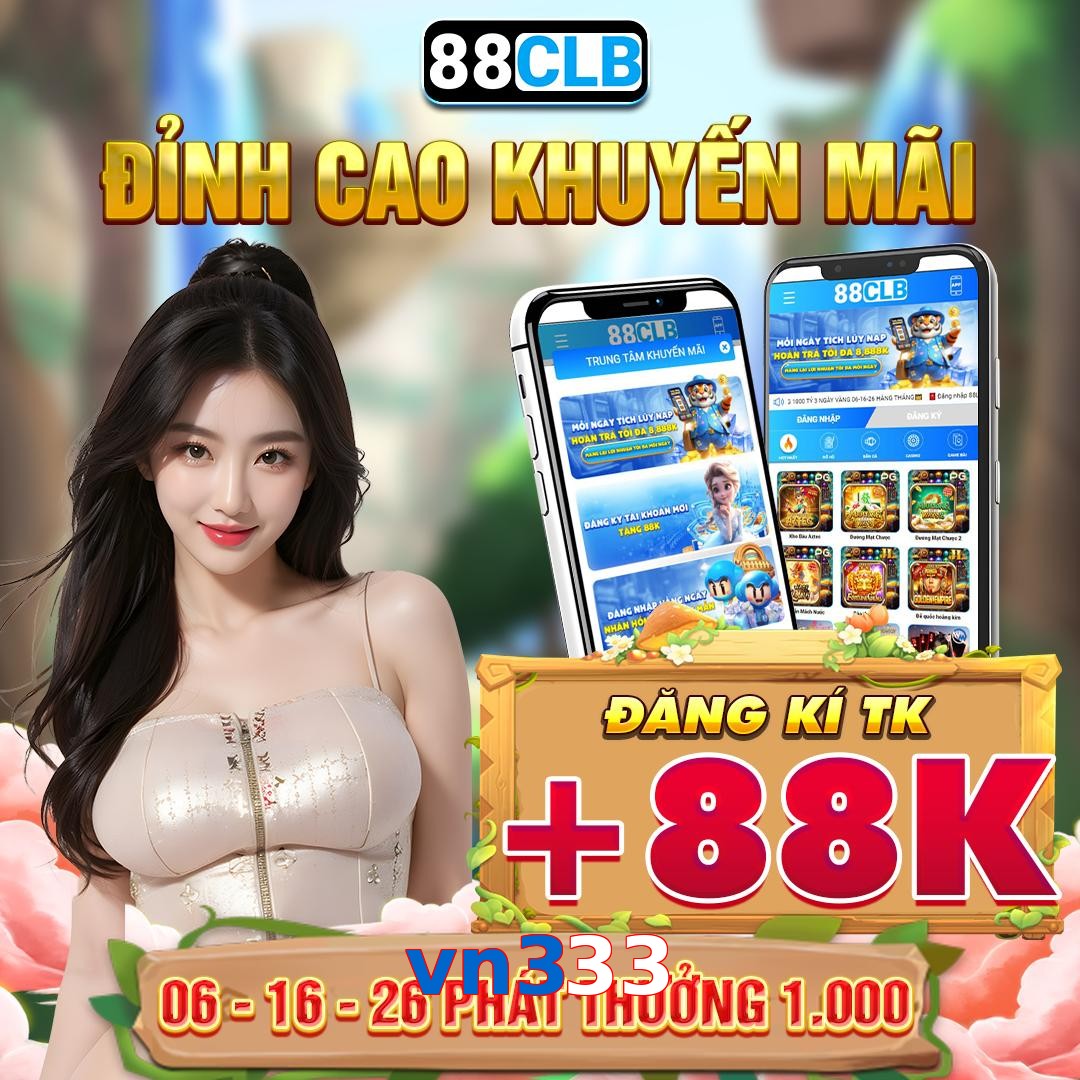 vn333
