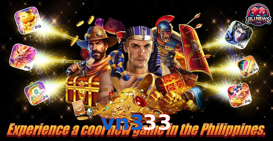 vn333