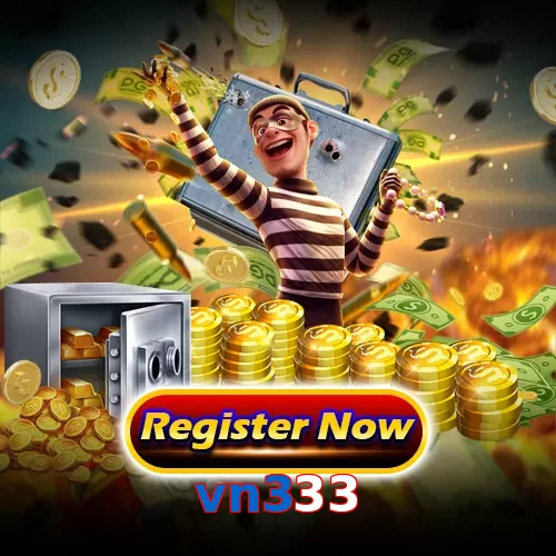 vn333
