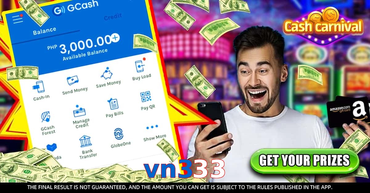 vn333