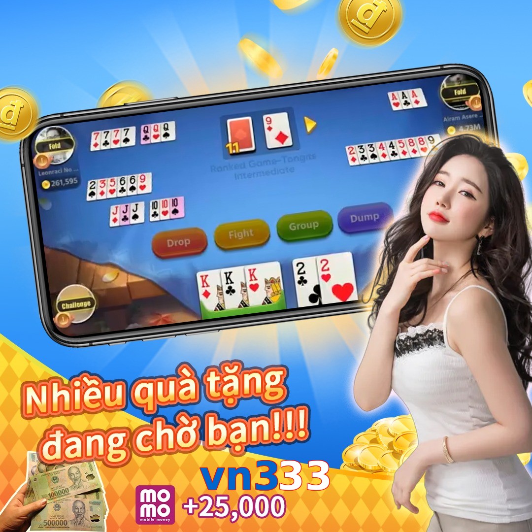 vn333