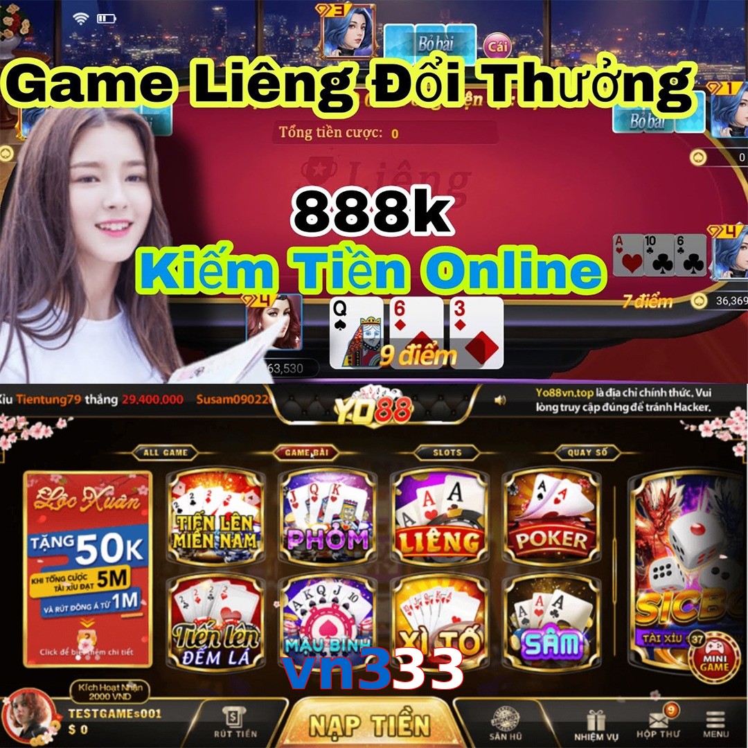 vn333