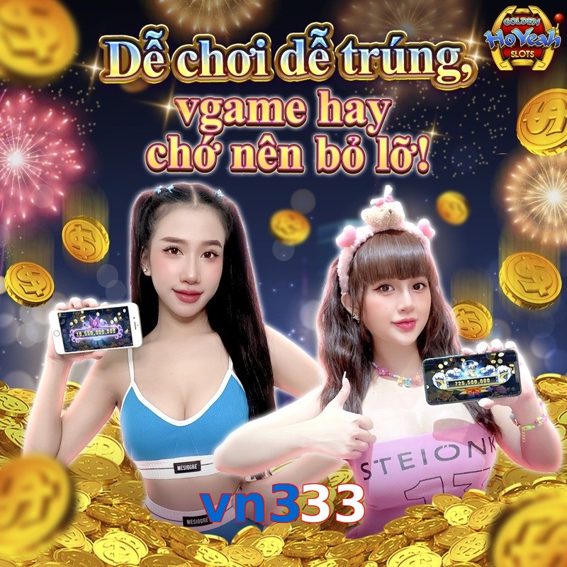 vn333