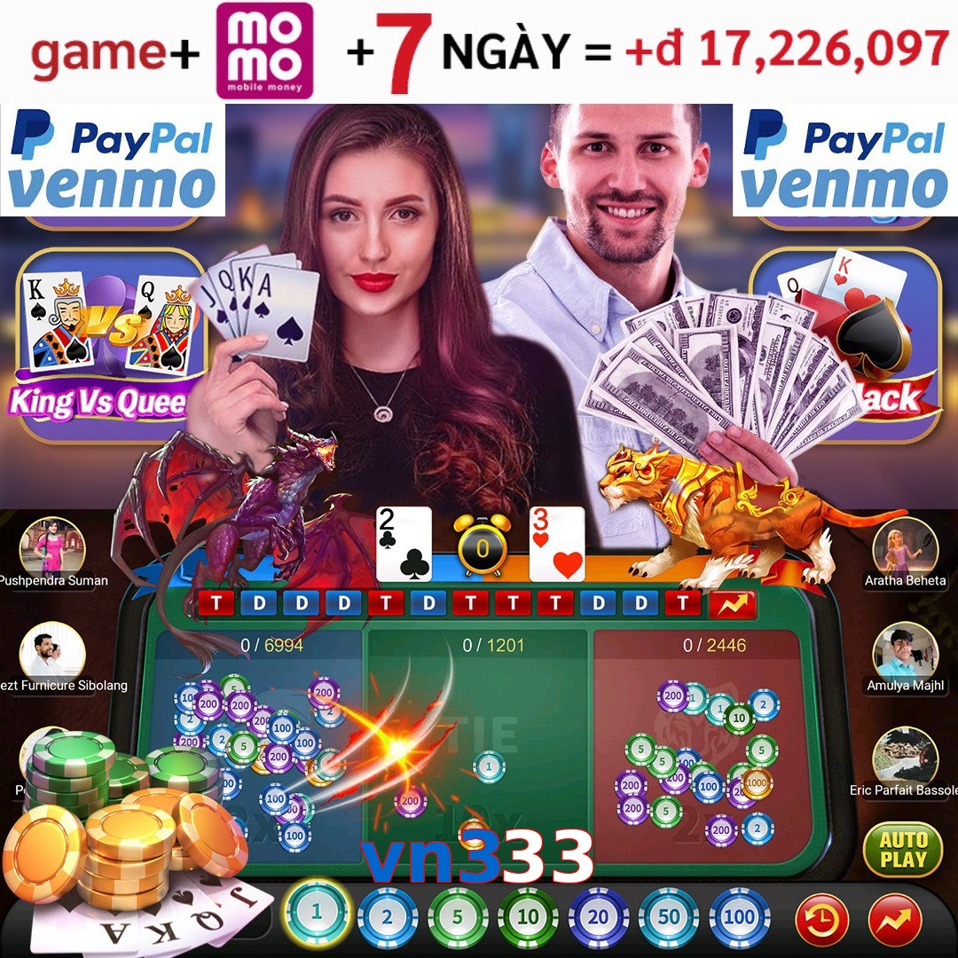 vn333