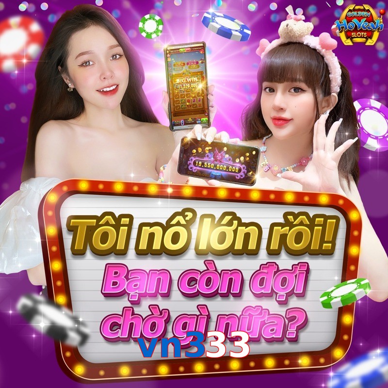 vn333