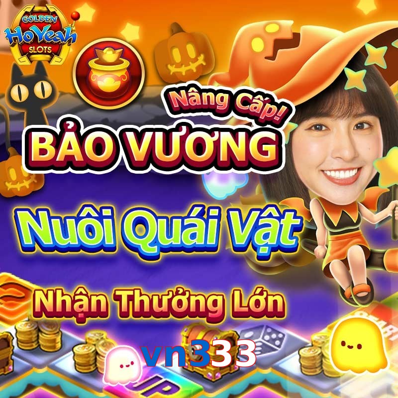 vn333