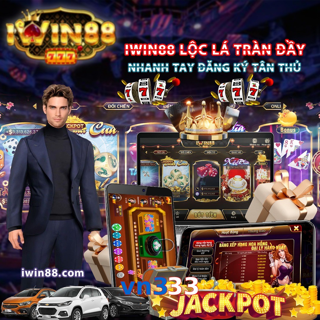 vn333