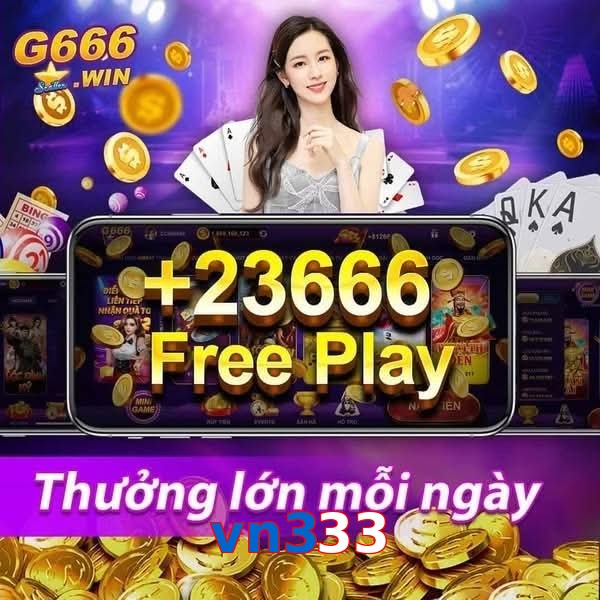 vn333