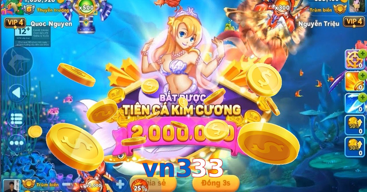 vn333