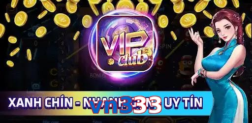 vn333