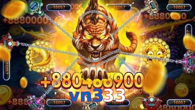 vn333