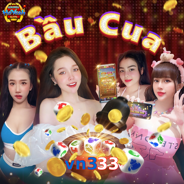 vn333