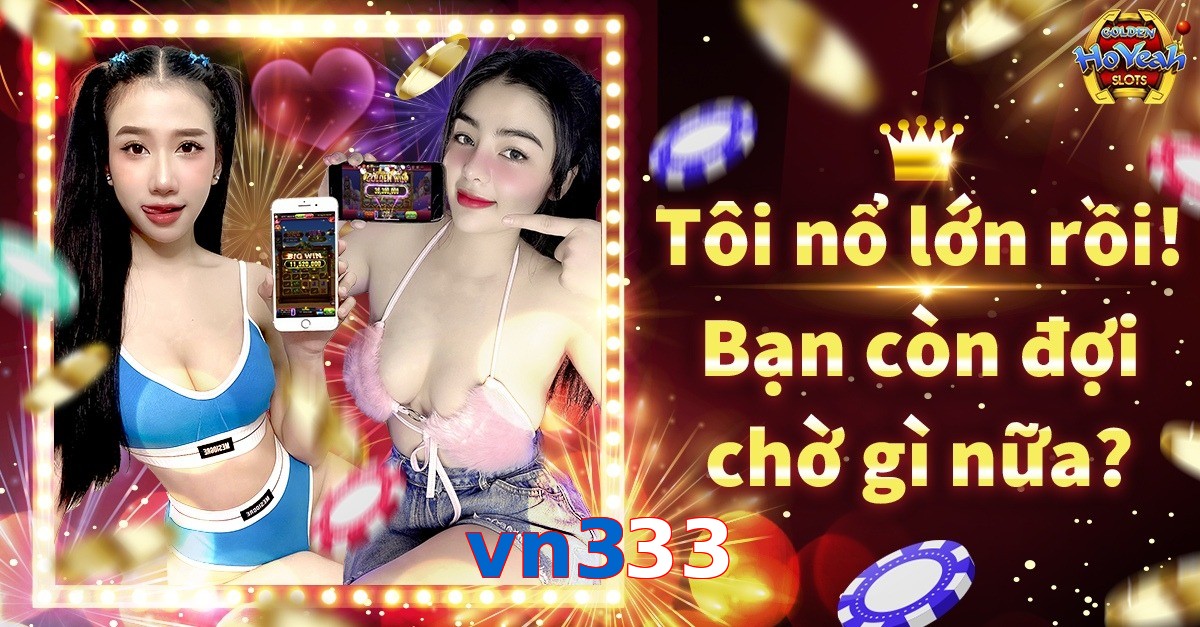 vn333