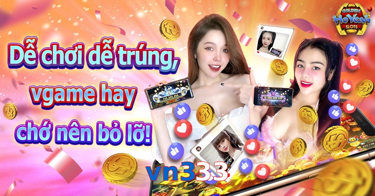 vn333
