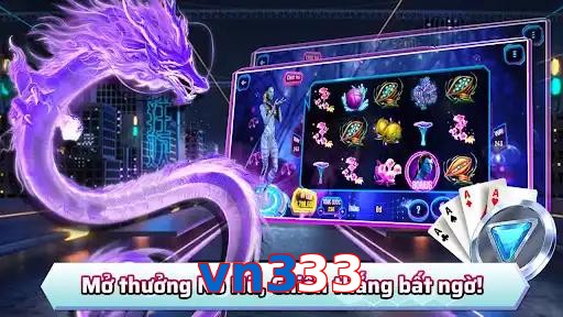 vn333
