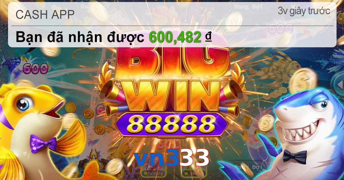 vn333