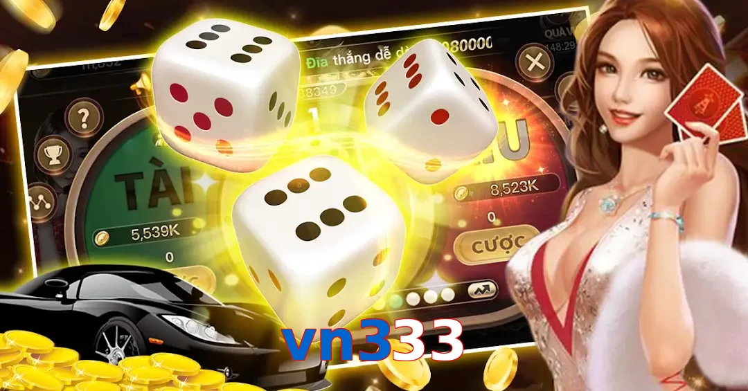 vn333