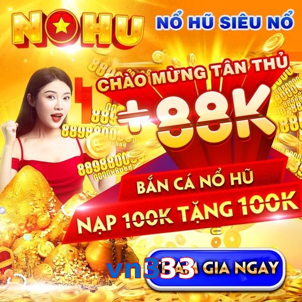 vn333