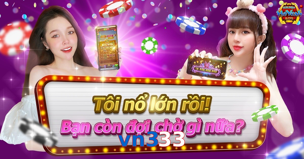 vn333