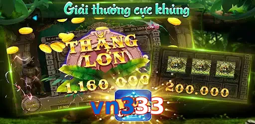 vn333