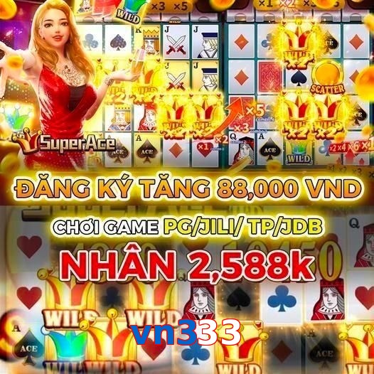 vn333