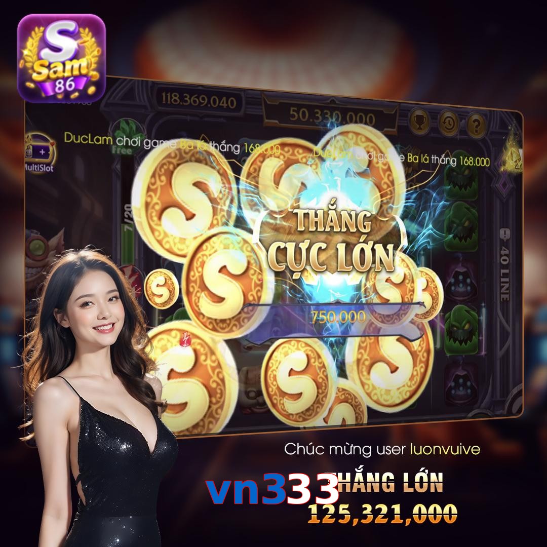 vn333