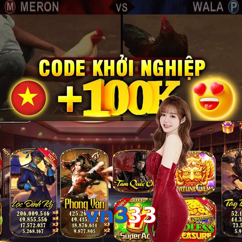 vn333