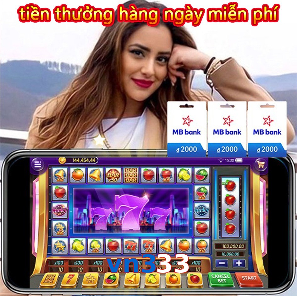 vn333