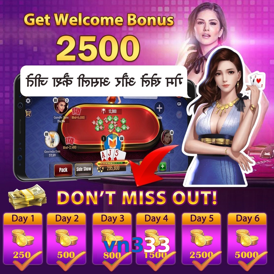 vn333
